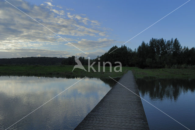 Blauwe Kamer