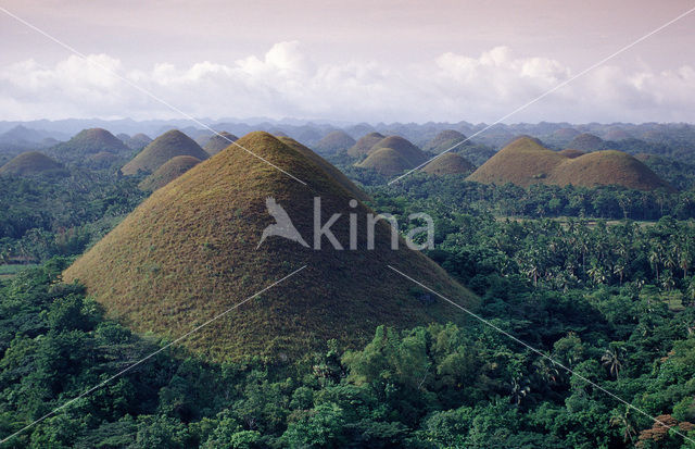 Chocolate Hills