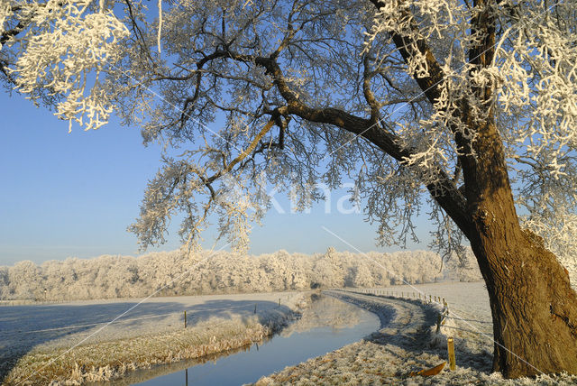 Landgoed De Klencke