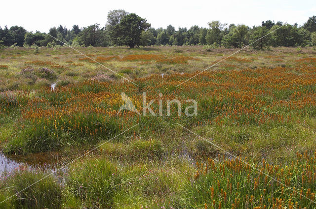 Leemputten Staverden