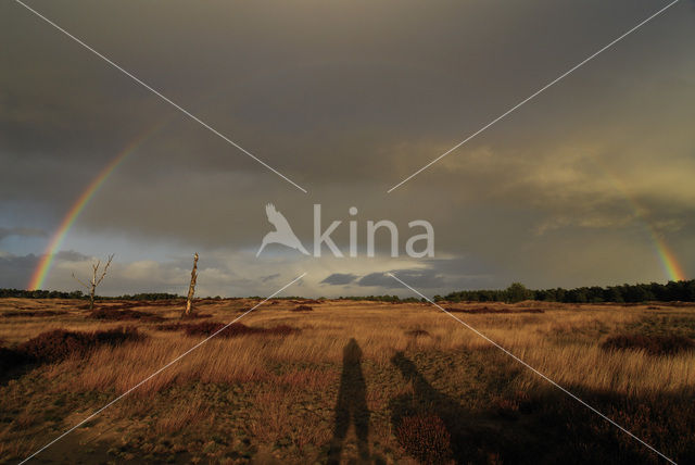 Nationaal Park De Hoge Veluwe