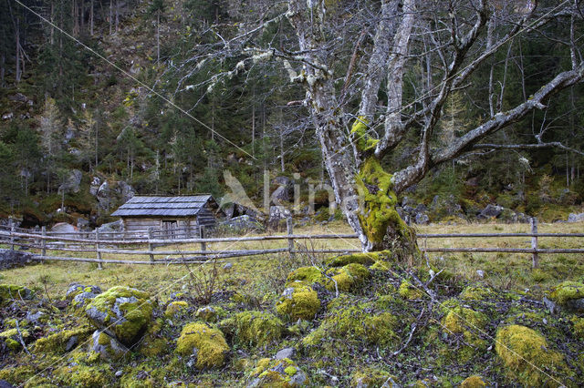 Nationaal Park Hohe Tauern