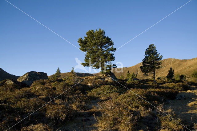 Nockberge National Park