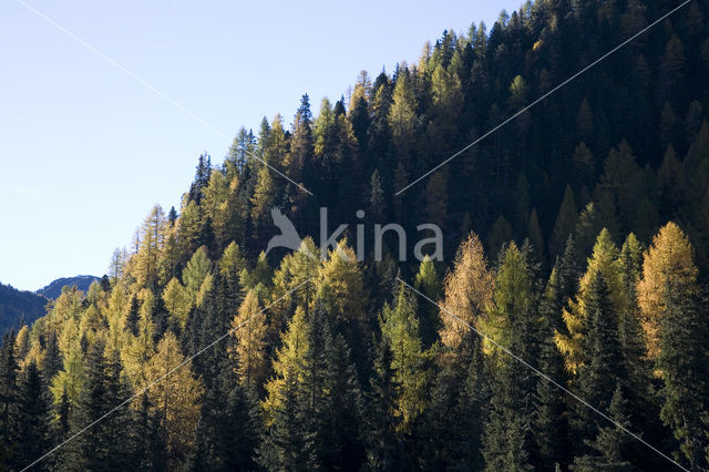 Nockberge National Park