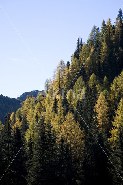 Nockberge National Park