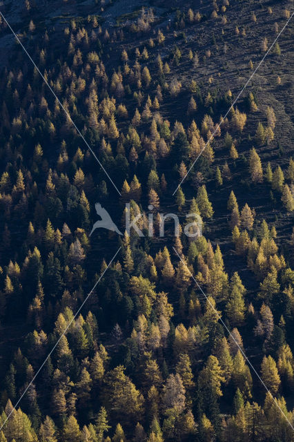 Nockberge National Park
