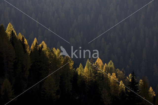 Nationaal Park Nockberge
