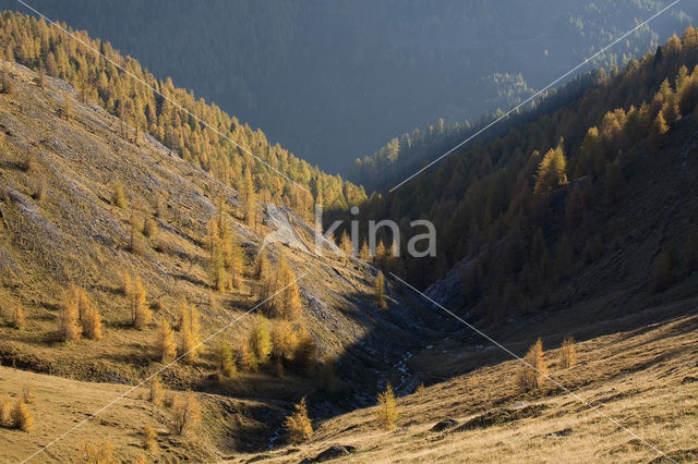 Nockberge National Park