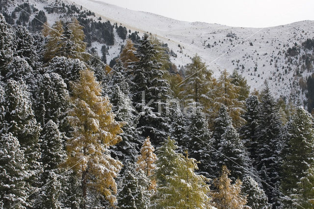 Nationaal Park Nockberge