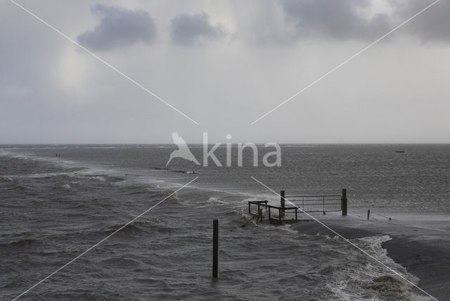 Noord Friesland Buitendijks