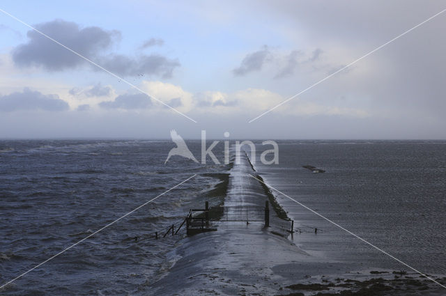 Noord Friesland Buitendijks