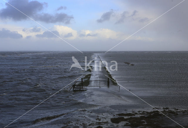 Noord Friesland Buitendijks