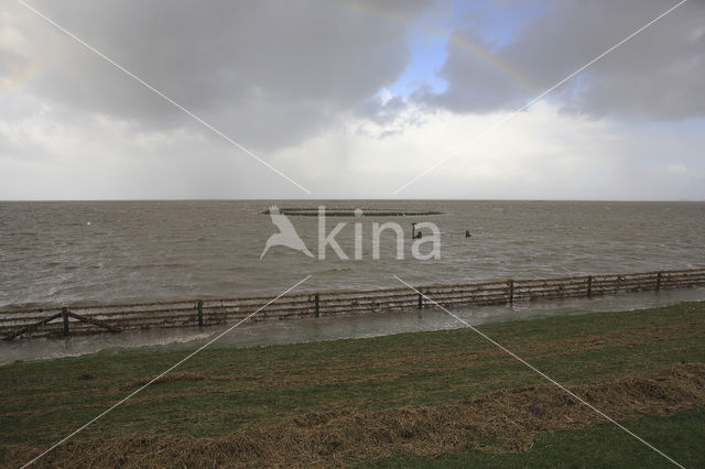 Noord Friesland Buitendijks