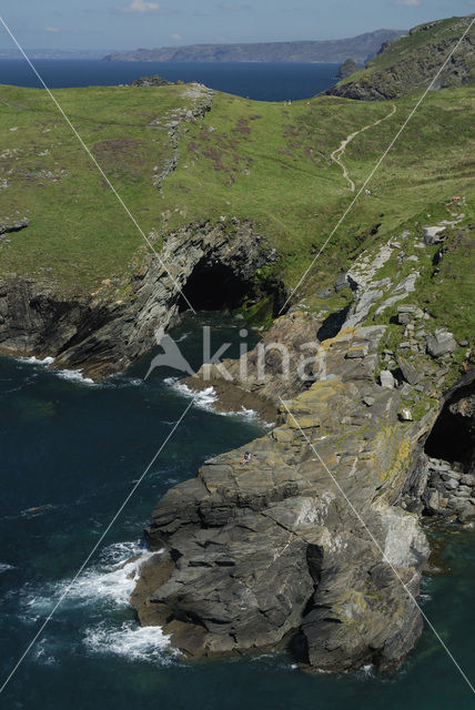 Tintagel Head