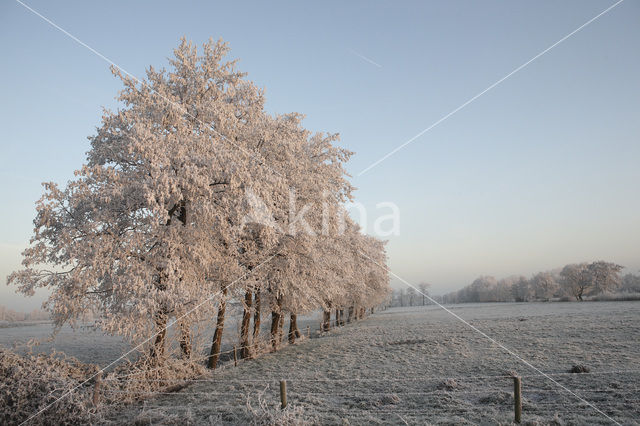 De Leijen