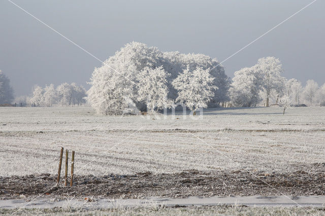 De Leijen