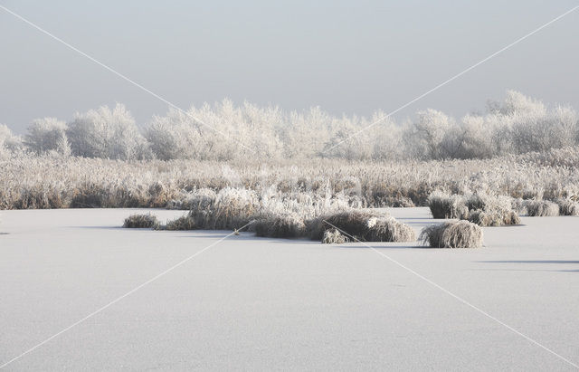 De Leijen