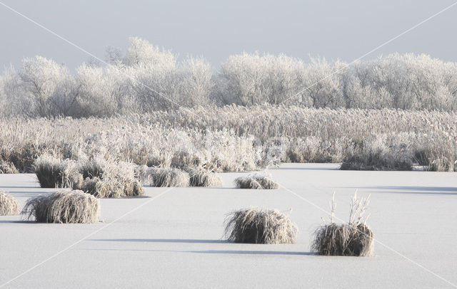 De Leijen