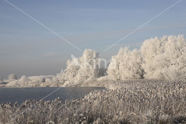 De Leijen