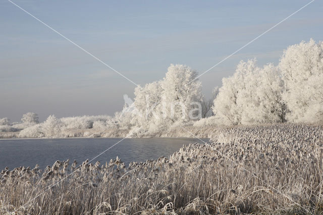 De Leijen