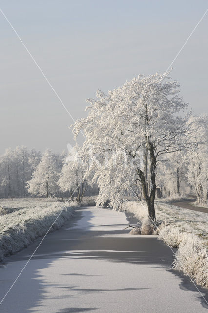 De Leijen