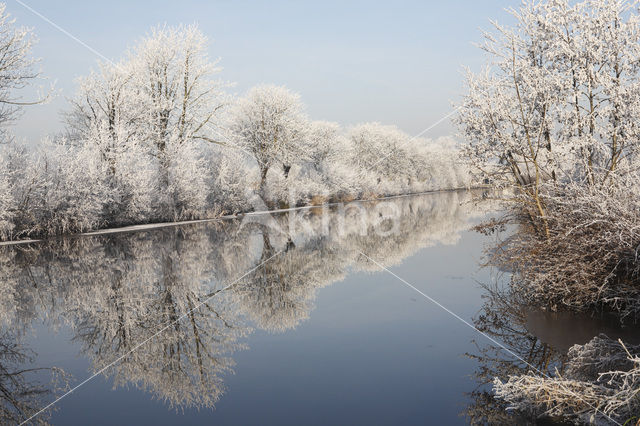 De Leijen