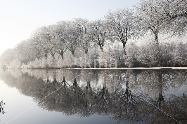 De Leijen