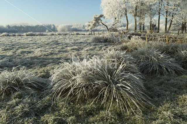 De Mortelen en Heerenbeek