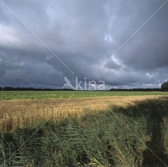 Groningen