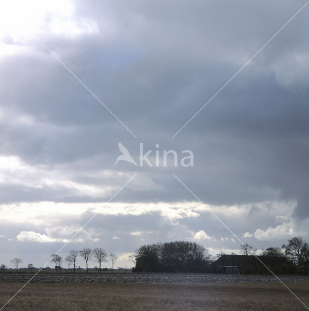 Groningen