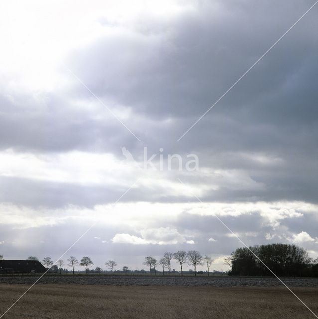 Groningen