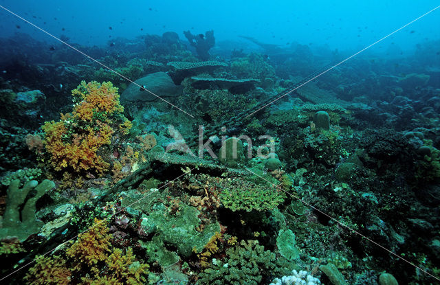 Pacific Ocean