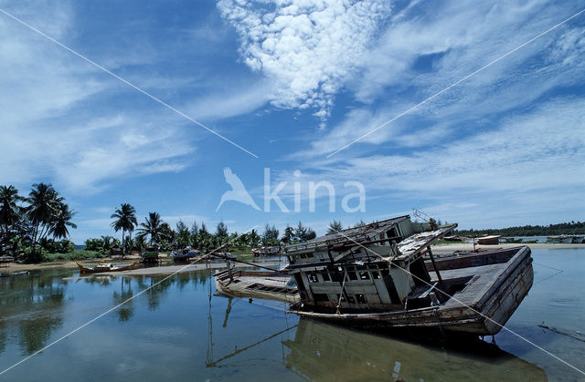 Ibai river