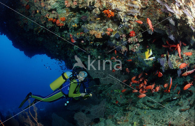 Indische oceaan