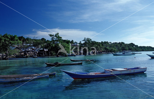 Kepulauan Wakatobi National Park