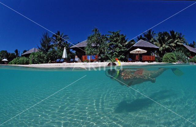 Kepulauan Wakatobi National Park