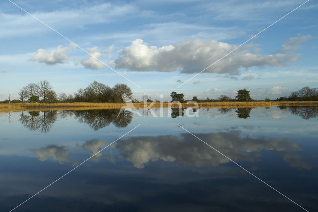 Landschotse Heide