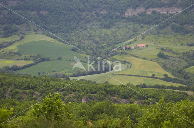 Lapanouse-de-Cernon