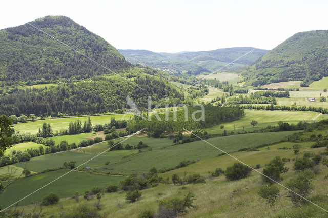 Nant