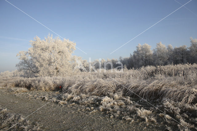 National Park De Alde Feanen