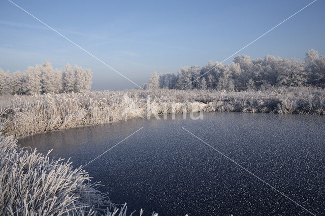 National Park De Alde Feanen