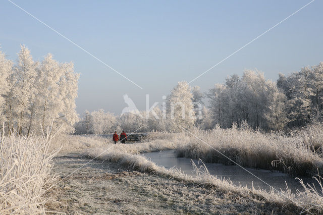 Nationaal Park De Alde Feanen