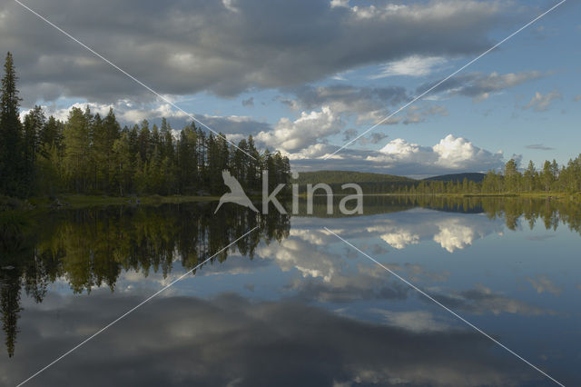 Nationaal Park Fulufjället