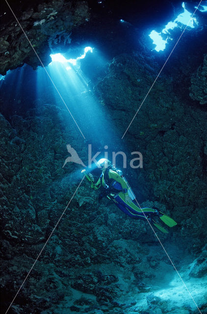 Red sea