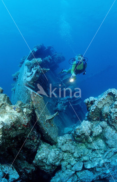 Red sea