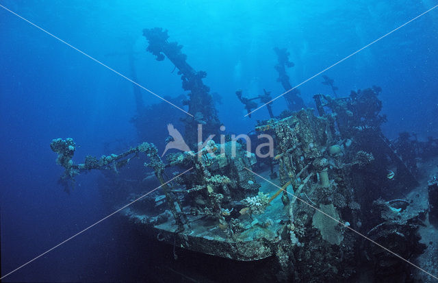 Red sea