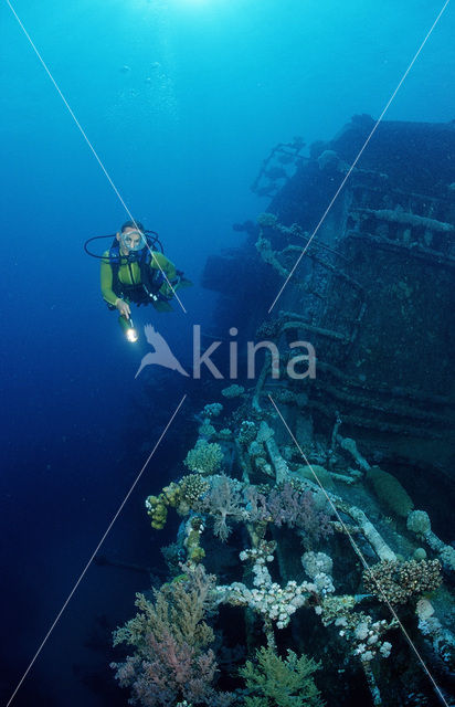 Red sea