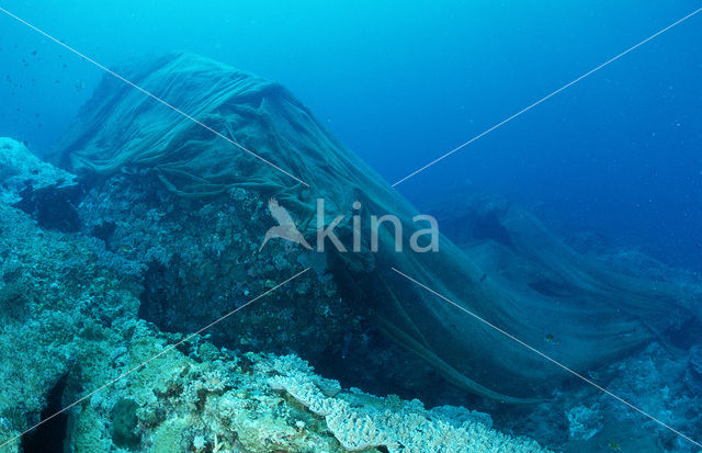 South Chinese sea