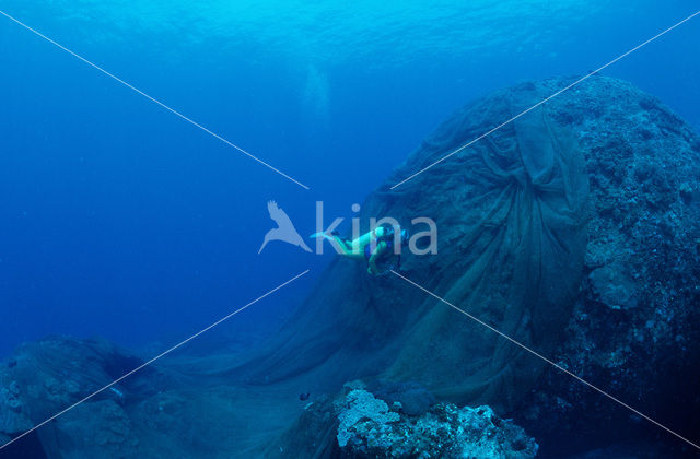 South Chinese sea