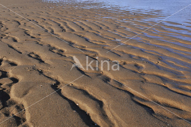 Duinen Huisduinen